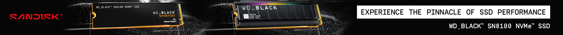 Sandisk