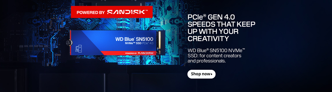 SanDisk