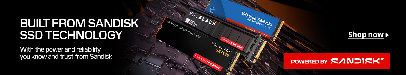 SanDiskSSD
