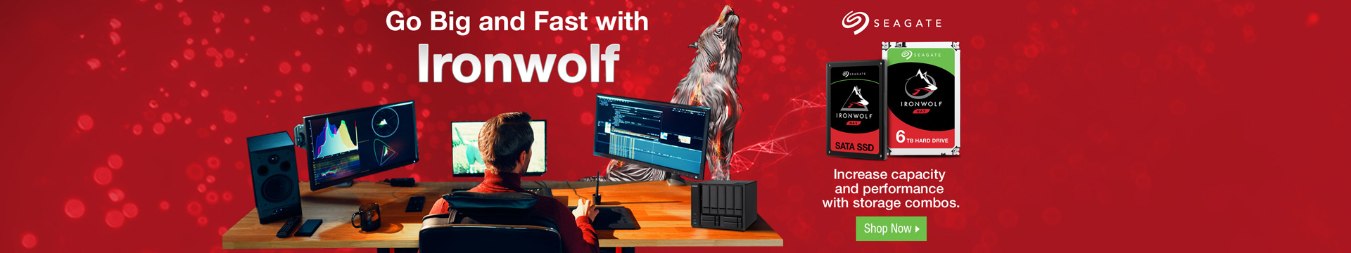 Go Big and Fast with Ironwolf