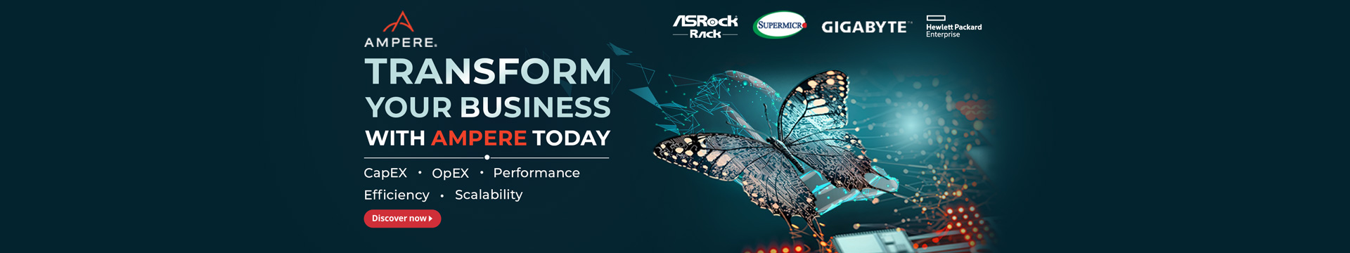 Transform Your Business