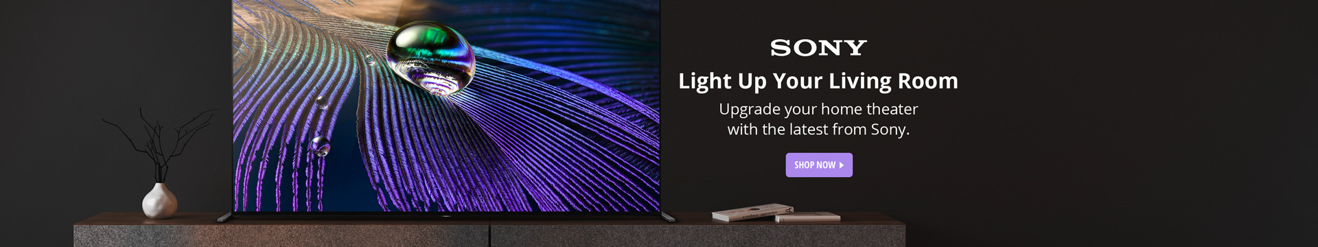 Sony Light Up Your Living Room