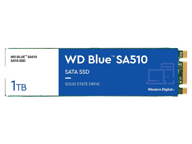 Western Digital Blue SA510 M.2 2280 1TB SATA III Internal Solid State Drive (SSD) WDS100T3B0B